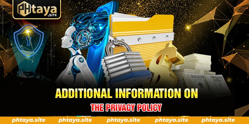ADDITIONAL INFORMATION ON THE PRIVACY POLICY