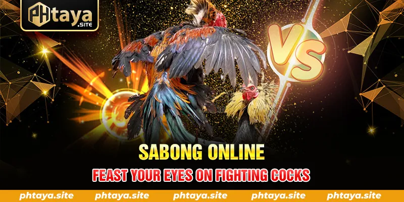 SABONG ONLINE FEAST YOUR EYES ON FIGHTING COCKS