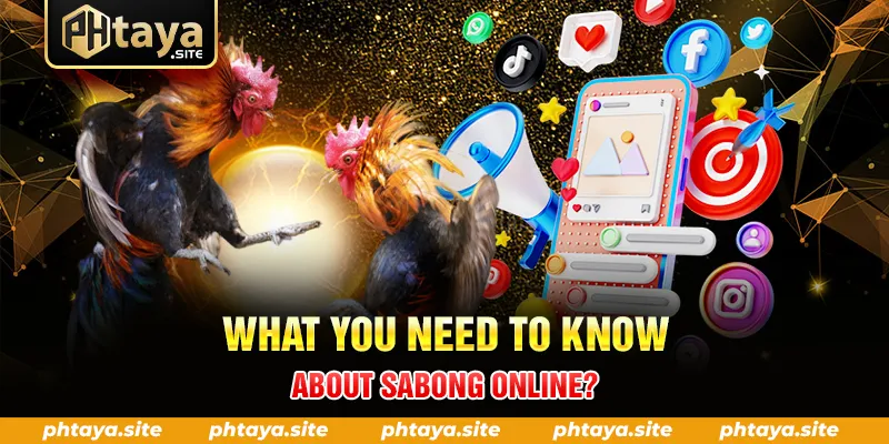 WHAT YOU NEED TO KNOW ABOUT SABONG ONLINE
